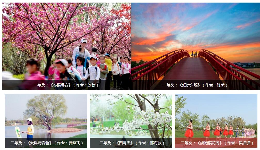 專業(yè)組一二等獎(jiǎng).jpg
